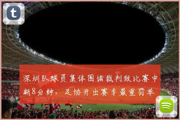 深圳队球员集体围堵裁判致比赛中断8分钟，足协开出赛季最重罚单
